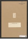 Diatomeae indet. Zeichnungen Sammlung Grunow Nr. 2823 (NHMW-BOT-W0370128)